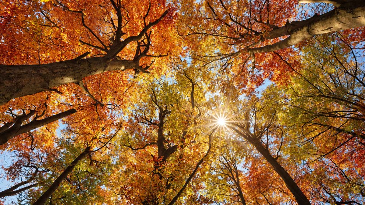 Campen im Herbst in Deutschland: die besten Tipps für gute Tage und nasse Schuhe